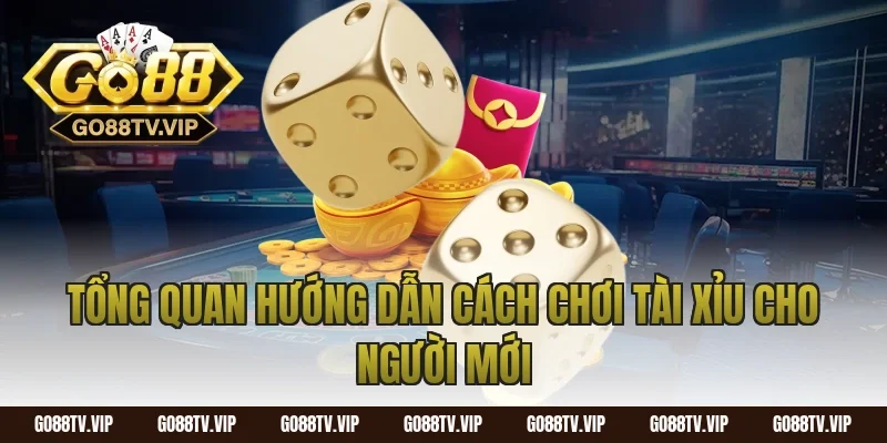 Tổng quan hướng dẫn cách chơi tài xỉu cho người mới